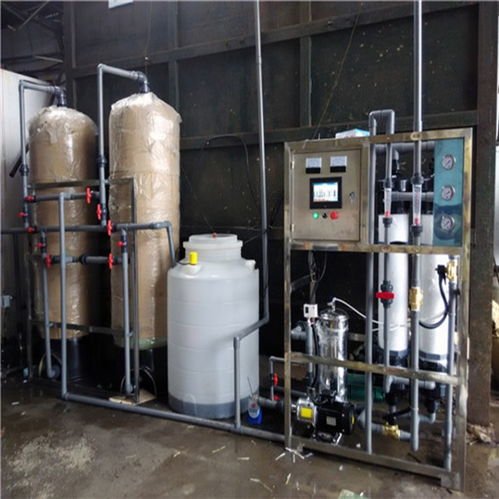 河源市达旺去离子水处理厂 15吨大型工业纯水机助力喷涂清洗水高效净化